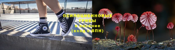 амф Белокуриха