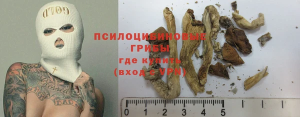 СК Протвино