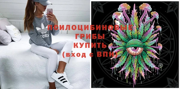 амф Белокуриха