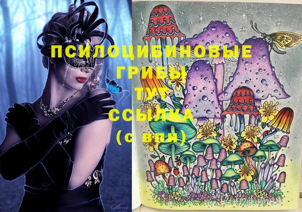 шишки Балабаново