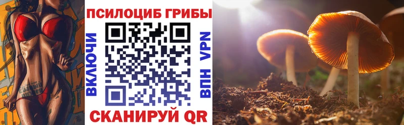 Псилоцибиновые грибы Psilocybe  купить наркотики сайты  Белебей 